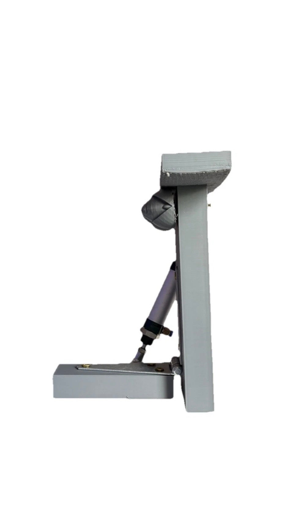 Animatronic Head